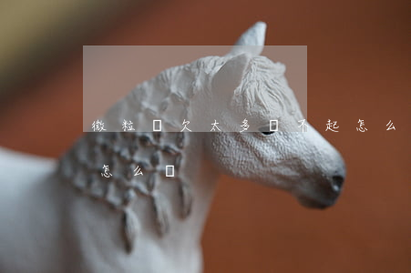 微粒貸欠太多還不起怎么辦(借微粒貸還不起怎么辦)