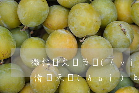 微粒貸欠幾百會(huì)上征信嗎(微粒貸借幾天會(huì)上征信嗎?)