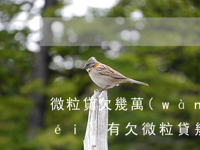 微粒貸欠幾萬(wàn)一年未還(有沒(méi)有欠微粒貸幾年沒(méi)還的)