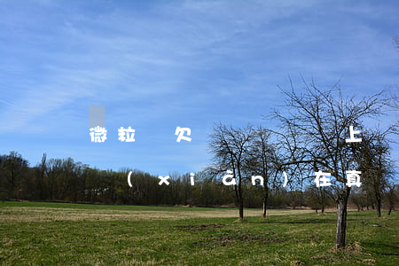 微粒貸欠幾萬沒還會上門嗎(微粒貸要上門我現(xiàn)在真沒有錢還)