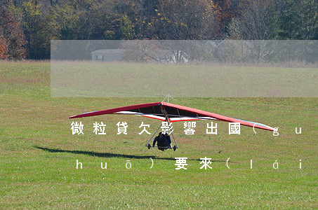 微粒貸欠影響出國(guó)(微粒貸說(shuō)要來(lái)外訪(fǎng)是真的嗎2020)
