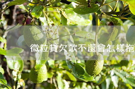 微粒貸欠欹不還會怎樣(拖欠微粒貸會怎么樣)