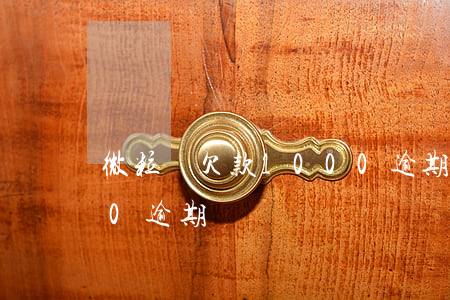 微粒貸欠款1000逾期(微粒貸欠款1000逾期)