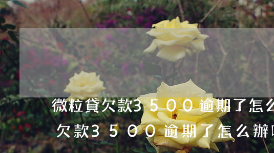 微粒貸欠款3500逾期了怎么辦-微粒貸欠款3500逾期了怎么辦呢