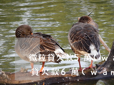 微粒貸欠款5萬(wàn) 逾期70天(微粒貸欠款6萬(wàn)逾期1年)