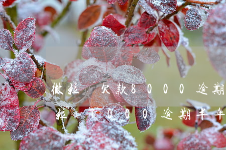 微粒貸欠款8000逾期5個(gè)月(微粒貸7000逾期半年)