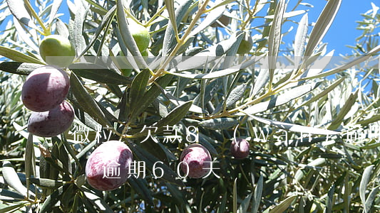 微粒貸欠款8萬(wàn)逾期60日(微粒貸逾期60天)