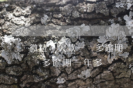 微粒貸欠款一萬多逾期兩年多(微粒貸欠款5萬多,逾期一年多)