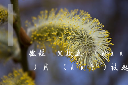 微粒貸欠款五萬(wàn)逾期三個(gè)月會(huì)被起訴嗎?（微粒貸欠款5萬(wàn)逾期70天）