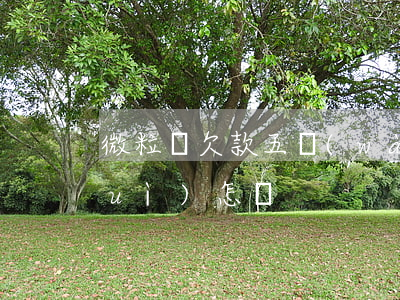 微粒貸欠款五萬(wàn)逾期不還會(huì)怎樣