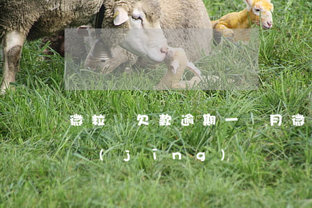 微粒貸欠款逾期一個月(微粒貸逾期一年親身經(jīng)歷)