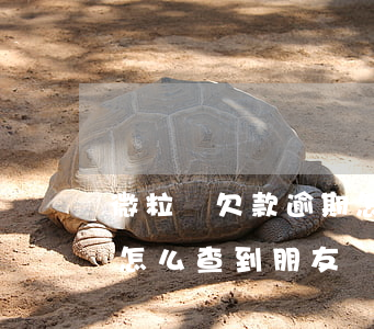 微粒貸欠款逾期怎么查案號真假(微粒貸逾期怎么查到朋友電話的)
