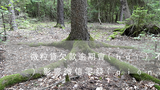 微粒貸欠款逾期會(huì)不會(huì)影響微信零錢(qián)使用（微粒貸逾期影響借錢(qián)嗎）
