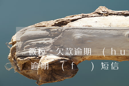 微粒貸欠款逾期會(huì)群推嗎(微粒貸逾期發(fā)短信說要群推)