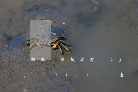 微粒貸欠款逾期進(jìn)入證據(jù)調(diào)查階段-微粒貸欠款逾期進(jìn)入證據(jù)調(diào)查階段會(huì)怎么樣