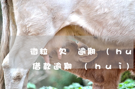微粒貸欠錢逾期會(huì)上門嗎(微粒貸借款逾期會(huì)上門約談嗎?)