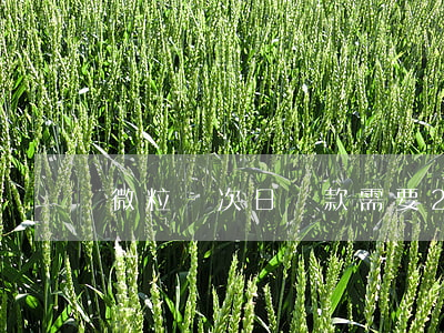 微粒貸次日還款需要24小時(shí)嗎-