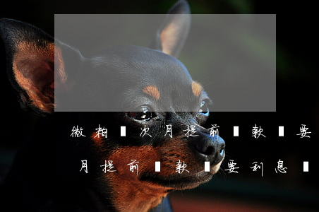 微粒貸次月提前還款還要利息嗎-微粒貸次月提前還款還要利息嗎多少