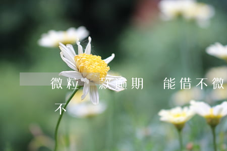 微粒貸款逾期還能借不(微粒貸款逾期還能借不)