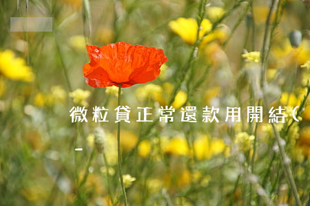 微粒貸正常還款用開結(jié)清證明嗎-