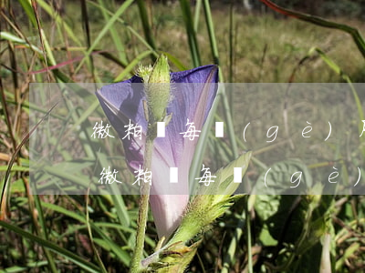 微粒貸每個(gè)月還款有短信提醒嗎-微粒貸每個(gè)月還款有短信提醒嗎?