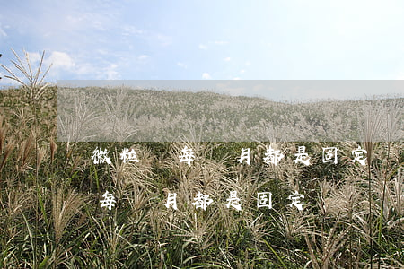 微粒貸每個月都是固定時間還款嗎-微粒貸每個月都是固定時間還款嗎安全嗎