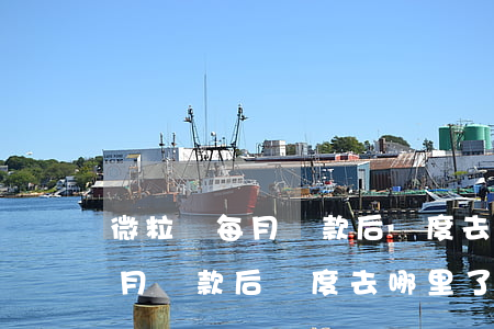 微粒貸每月還款后額度去哪里了-微粒貸每月還款后額度去哪里了呢