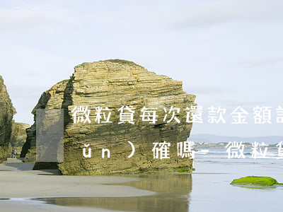 微粒貸每次還款金額計(jì)算準(zhǔn)確嗎-微粒貸每次還款金額計(jì)算準(zhǔn)確嗎安全嗎
