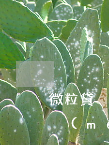 微粒貸沒(méi)逾期影響征信嗎(微粒貸沒(méi)逾期 征信不好了 還了還能貸么)