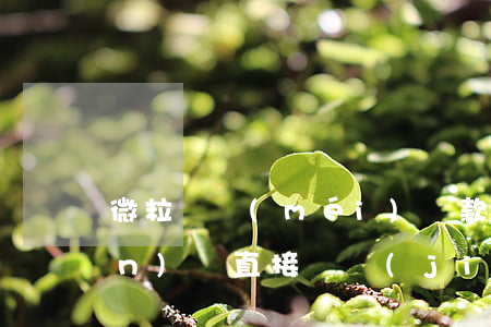 微粒貸沒(méi)還款別人轉(zhuǎn)賬直接凍結(jié)-微粒貸沒(méi)還款別人轉(zhuǎn)賬直接凍結(jié)了