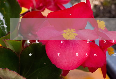 微粒貸沒到賬卻要還款怎么處理-微粒貸沒到賬卻要還款怎么處理