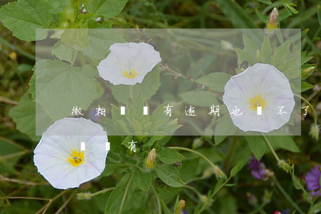 微粒貸沒有逾期也貸不了(微粒貸這么久了我還沒有)