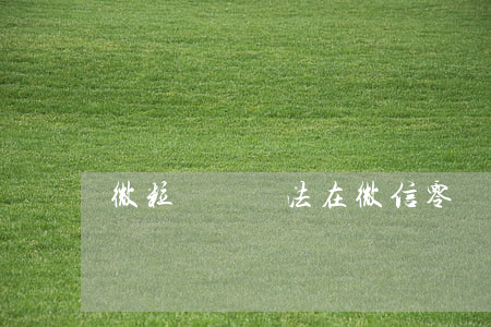 微粒貸沒辦法在微信零錢還款嗎-