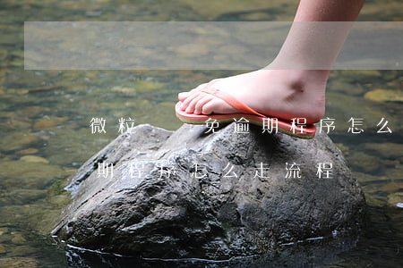 微粒貸減免逾期程序怎么走-微粒貸減免逾期程序怎么走流程