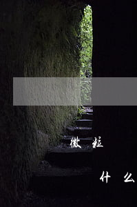 微粒貸為什么不可以微信錢包還款-微粒貸為什么不可以微信錢包還款了