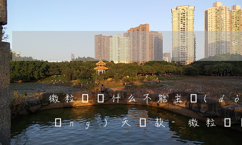 微粒貸為什么不能主動(dòng)當(dāng)天還款-微粒貸為什么不能主動(dòng)當(dāng)天還款了