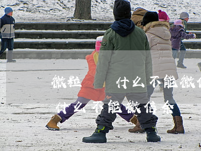 微粒貸為什么不能微信余額還款-微粒貸為什么不能微信余額還款了