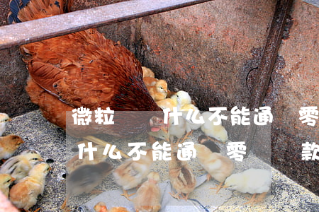 微粒貸為什么不能通過零錢還款-微粒貸為什么不能通過零錢還款了