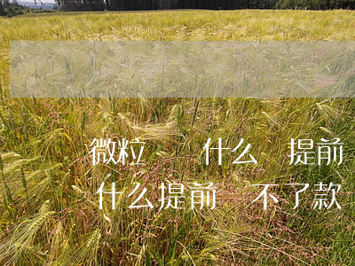 微粒貸為什么會提前還款還不上-微粒貸為什么提前還不了款
