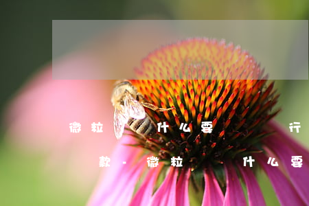 微粒貸為什么要簽約銀行授權(quán)還款-微粒貸為什么要簽約銀行授權(quán)還款呢