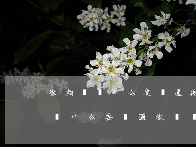微粒貸為什么要開通微眾銀行還款-微粒貸為什么要開通微眾銀行還款功能