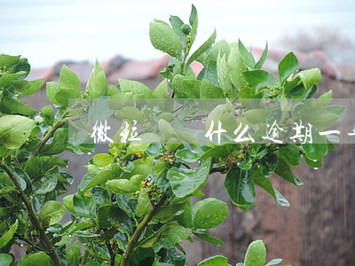 微粒貸為什么逾期一年多也不起訴