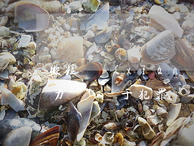 微粒貸現(xiàn)在無力償還(微粒貸無力償還屬于犯罪嗎?)