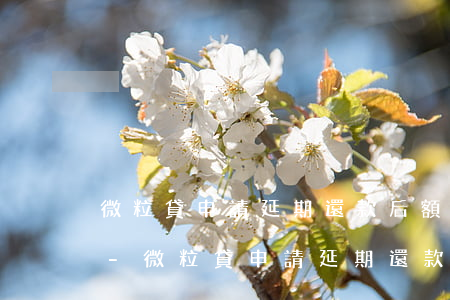 微粒貸申請延期還款后額度凍結(jié)-微粒貸申請延期還款后額度凍結(jié)了