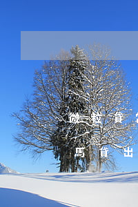 微粒貸當(dāng)期逾期還款后可以立馬貸出來嗎-微粒貸當(dāng)期逾期還款后可以立馬貸出來嗎