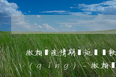 微粒貸疫情期間延遲還款沒(méi)申請(qǐng)-微粒貸延期3天