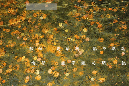 微粒貸疫情期間能不能延期還款-微粒貸疫情期間能不能延期還款呢