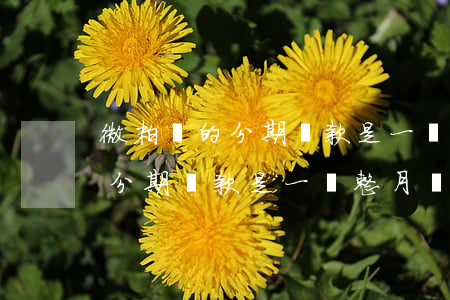 微粒貸的分期還款是一個整月嗎-微粒貸的分期還款是一個整月嗎怎么還