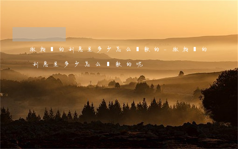 微粒貸的利息是多少怎么還款的-微粒貸的利息是多少怎么還款的呢