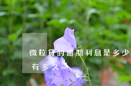 微粒貸的逾期利息是多少(微粒貸最多逾期的有多久)